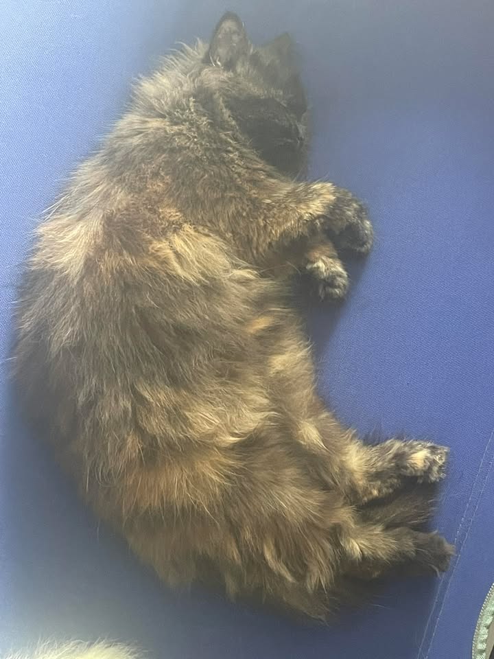 Đất nền dự án Tân An, Buôn Ma Thuột 120m² giá chỉ 1.65 tỷ - Cơ hội đầu tư tuyệt vời!