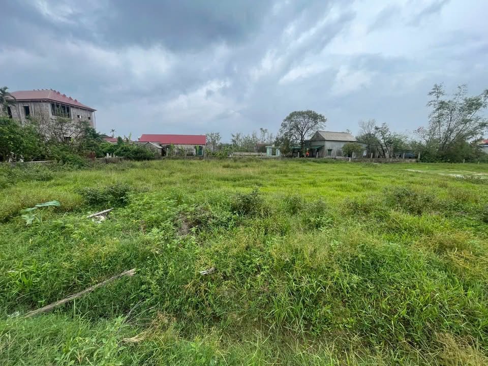 Đất nền Thiên Cầm - 300m² giá chỉ 800 triệu - Đầu tư sinh lời ngay!