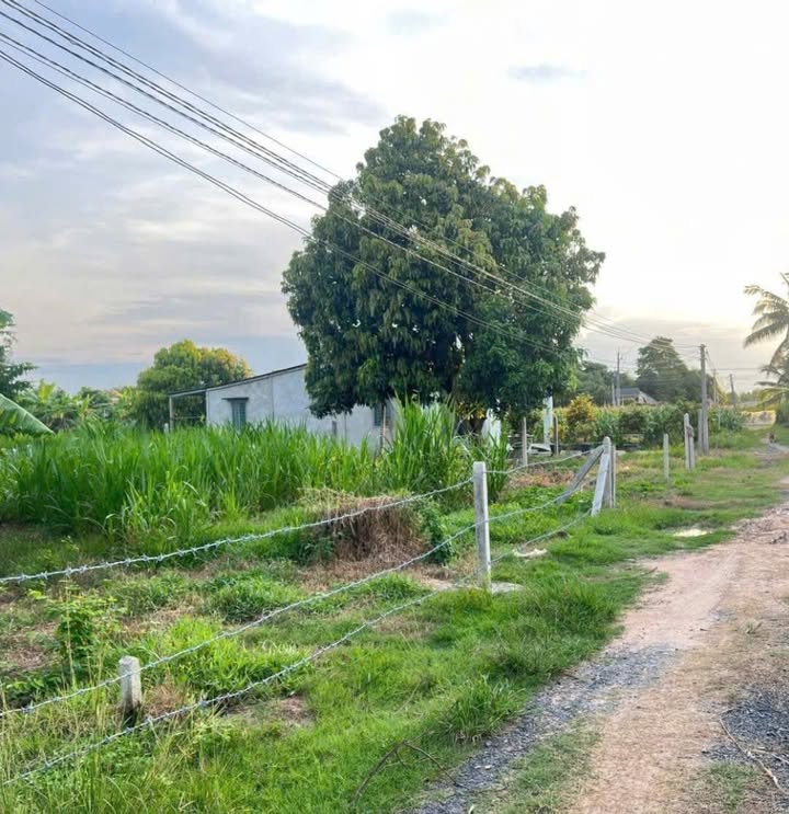 Đất thổ cư Trà Vong Tân Biên 85m² giá 90 triệu - Sổ hồng chính chủ!