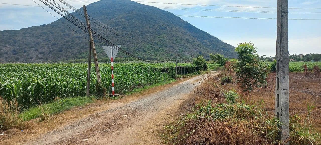 Đất nền Thạnh Tân Trảng Bàng 1122m² giá chỉ 179 triệu - Cơ hội đầu tư không thể bỏ qua!