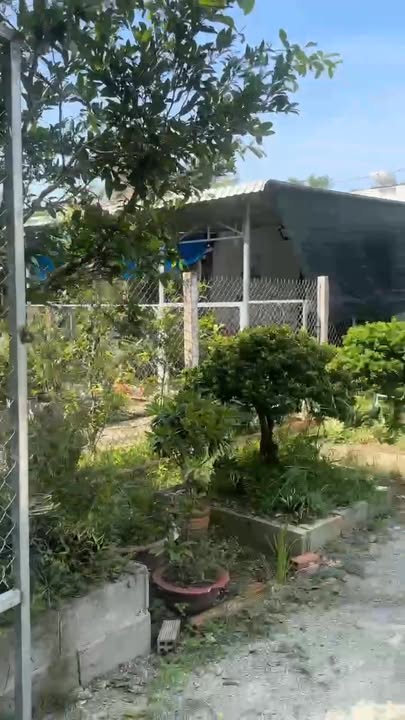 Bán nhà đẹp tại xã Nhị Quý, diện tích 294m² - Sẵn sàng vào ở ngay!