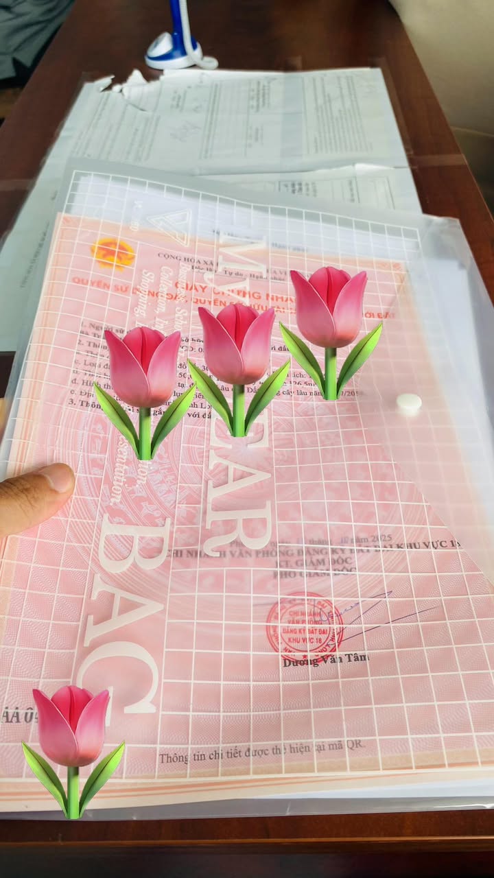 Đất nền Sơn Đông Bến Tre 130m² giá 539 triệu - Sổ hồng chính chủ