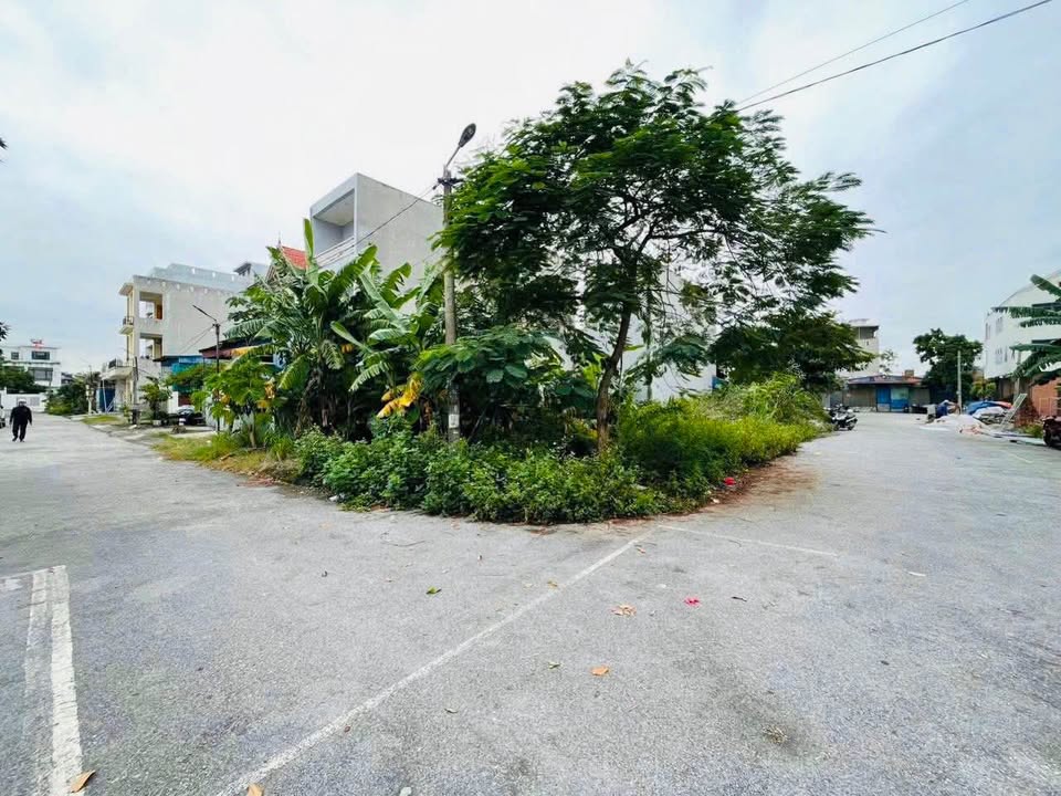 Đất lô góc 100m² Chung cư Huê, Hoa Động, Thủy Nguyên - Giá chỉ 4.1 tỷ!