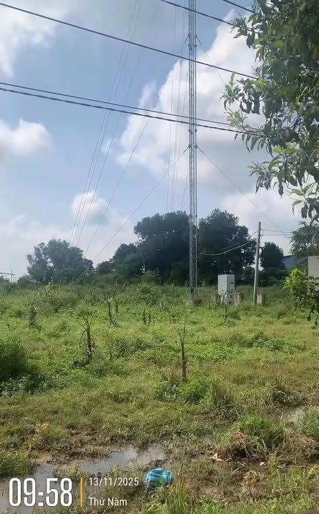 Đất farm cho thuê tại Cây Gáo Trảng Bom 10.000m² - Lợi nhuận cao từ trồng chuối!