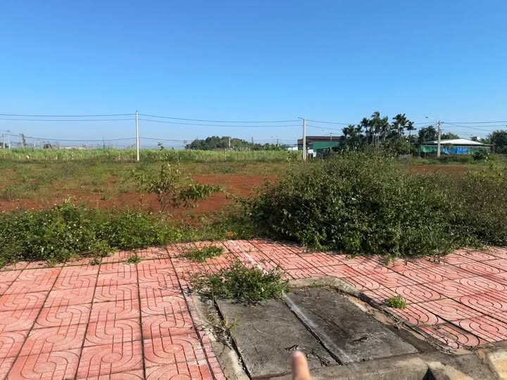 Đất nền Cư M'gar Đắk Lắk 150m² giá 1.1 tỷ - Đầu tư sinh lời ngay!