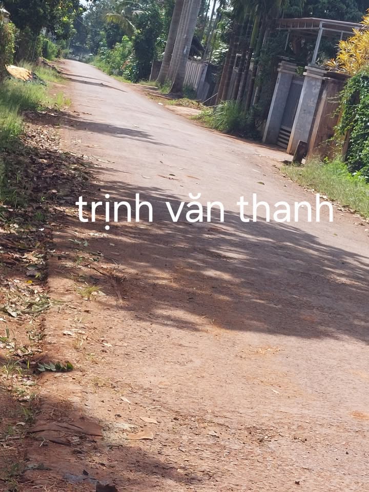 Đất thổ cư mặt tiền đường nhựa 830m² tại phường Tân Lập - Cơ hội đầu tư vàng!