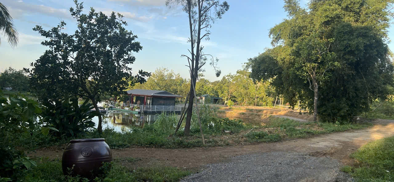 Đất cây lâu năm 2.401m² tại Phú Cát, Quốc Oai - Cơ hội đầu tư sinh lời cao!