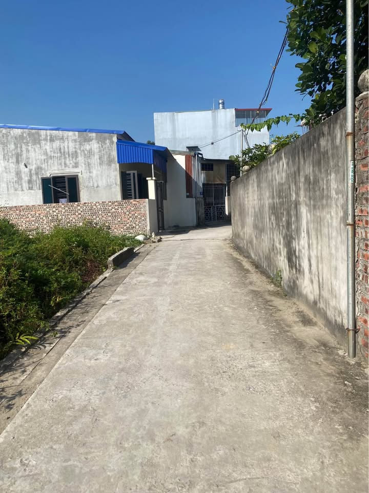 Lô đất đẹp 51,5m² đường Văn Cú, An Đồng, Hải Phòng - Giá chỉ 1,42 tỷ VND