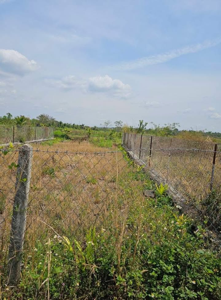 Đất thổ cư 230m² Hòa Khánh, Buôn Ma Thuột chỉ 1.1 tỷ - Giá tốt, sẵn sàng sang tên!