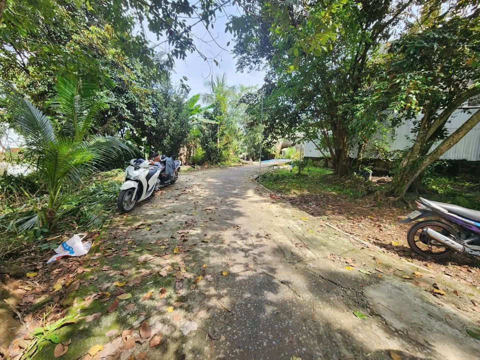 Đất nền Giai Xuân, Phong Điền 72m² giá 390 triệu - Cơ hội đầu tư hấp dẫn!