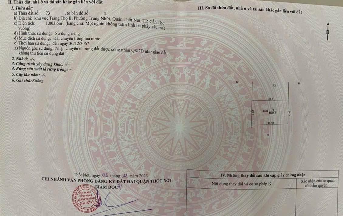 Đất lúa 1003m² khu Tràng Thọ B, Cần Thơ giá 1.5 tỷ - Chính chủ bán gấp!