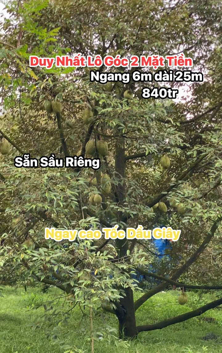 Đất nền góc 150m² Phường Xuân Lập giá chỉ 840 triệu - Sổ đỏ chính chủ!