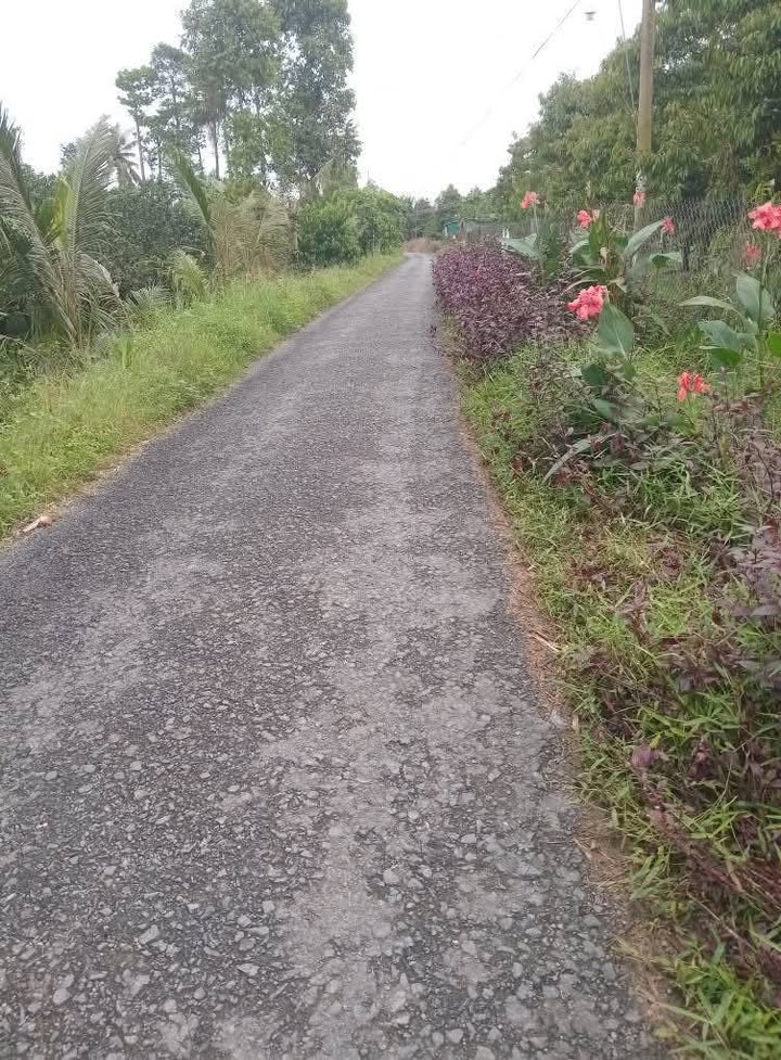 Đất nền thổ cư 130m² xã Nhơn Phú, Vĩnh Long - Giá chỉ 320 triệu!