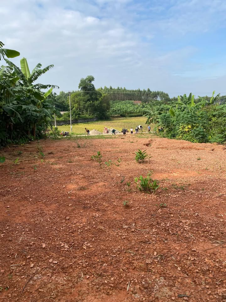 Đất nền đầu tư tại xã Mỹ Thái - Lạng Giang 475m² chỉ 1.3 tỷ - Cơ hội không thể bỏ lỡ!