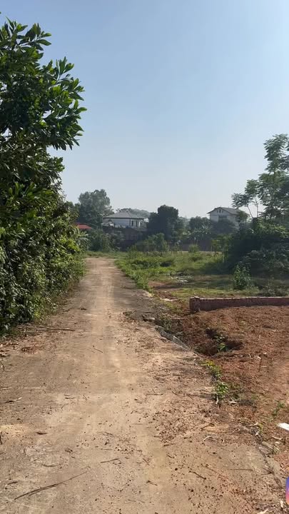 Đất nền Hướng Đạo, Tam Dương 130m² giá chỉ 600 triệu - Cơ hội đầu tư tuyệt vời!