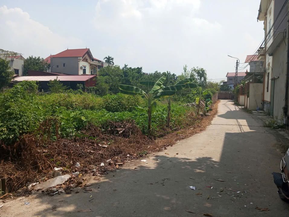 Đất nền Trạm Lộ, Thuận Thành 65m² giá 1 tỷ - Khu dân cư sầm uất, ô tô vào đất!