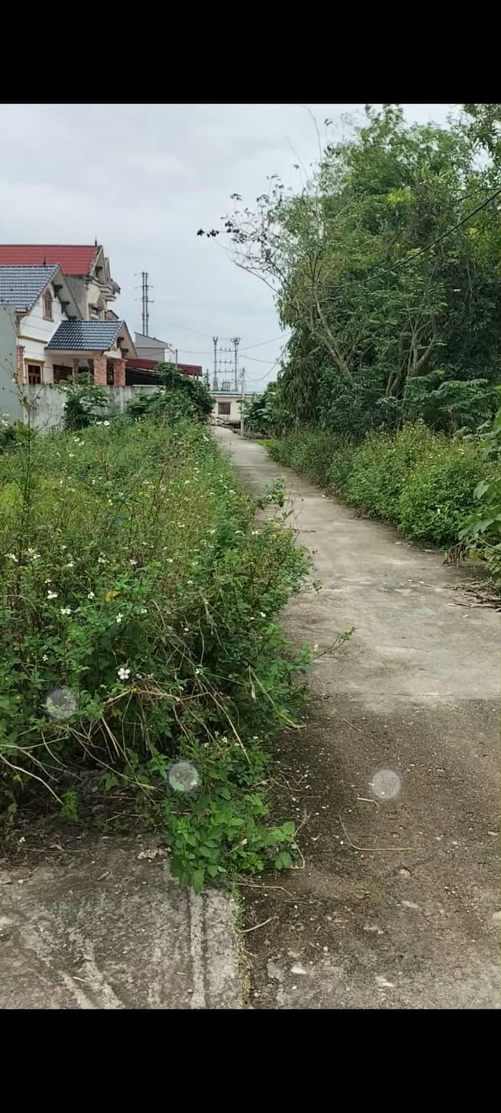 Đất thổ cư Nghĩa Đạo, Thuận Thành, 2500m² giá 34.5 tỷ - Cơ hội đầu tư vàng!