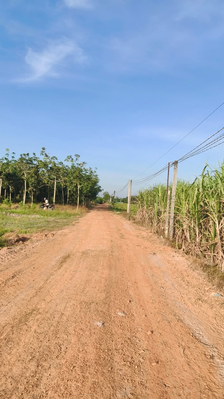 Đất nền Ấp Nam Bến Sỏi, Tây Ninh 10465m² giá 199 triệu - Cơ hội đầu tư hấp dẫn!