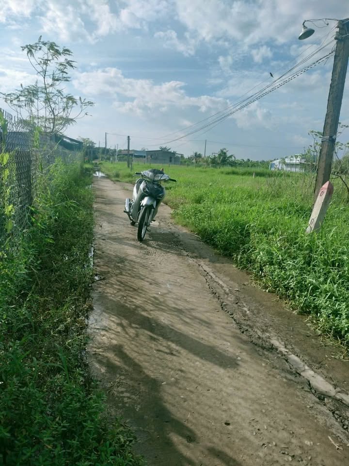 Đất thổ cư tại Bình Nghị, Gò Công Đông 117.5m² giá chỉ 280 triệu - Cơ hội đầu tư tuyệt vời!