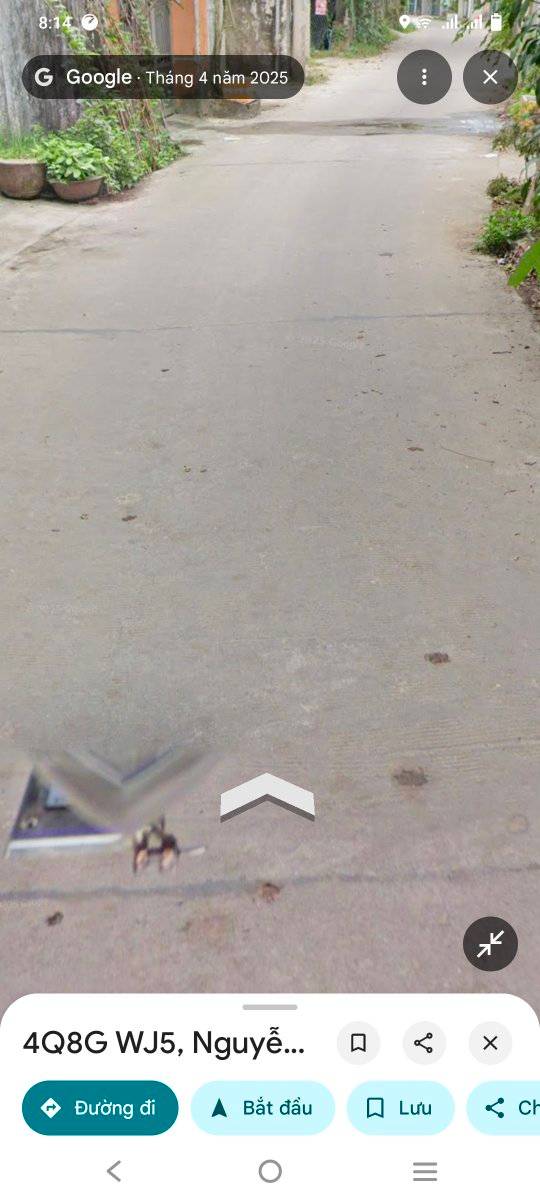 Đất ở đô thị đường Nguyễn Thông Quảng Ngãi 140m² giá 1 tỷ - Khu dân cư đông đúc