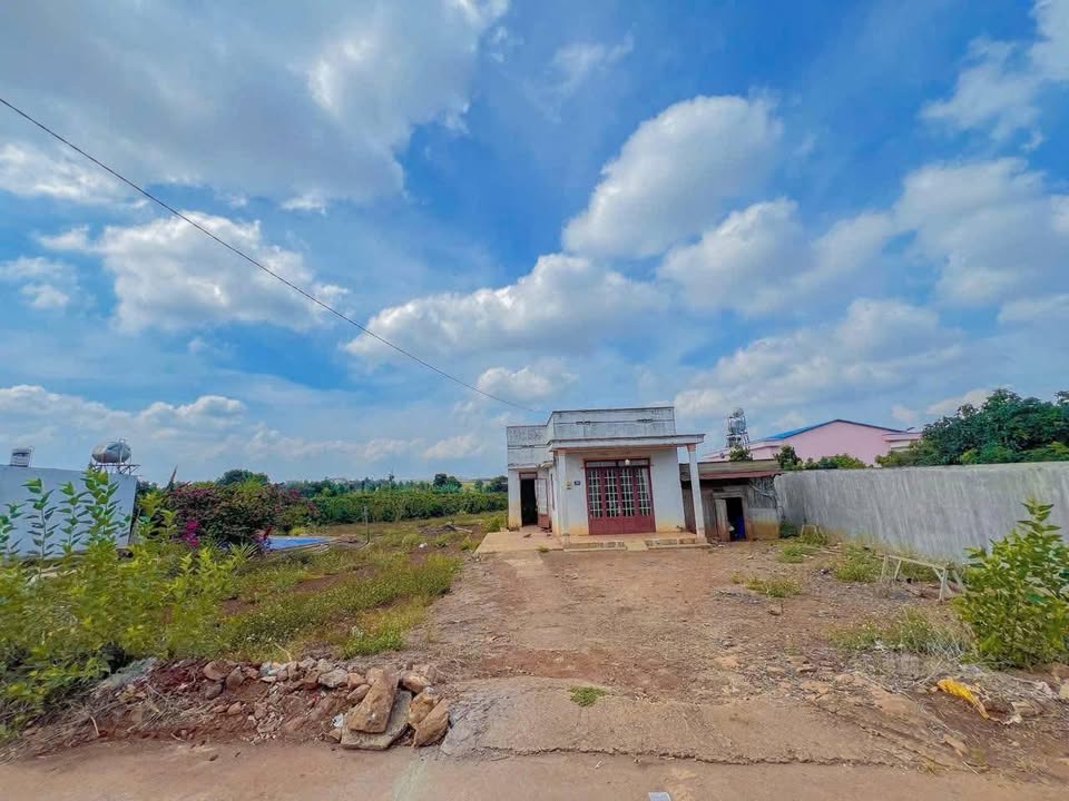 Đất Tân Hội, Đức Trọng 1000m² giá 3 tỷ - Sổ đỏ chính chủ, thương lượng tốt!