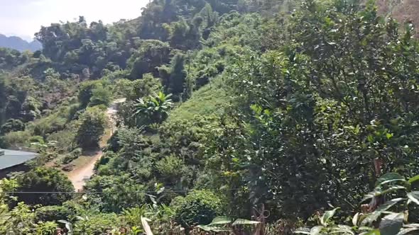 Đất nền Mộc Châu 5000m² giá 999 triệu - Tiềm năng đầu tư tuyệt vời!