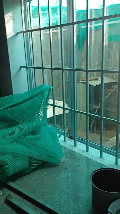 Cho thuê kho đường Nguyễn Anh Hào, Tuy Hòa 150m² giá 7 triệu - Vị trí đắc địa gần chợ Phú Lâm!