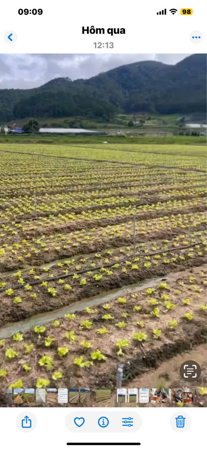 Đất sào Ka Đơn Đơn Dương 6525m² giá 2.284 tỷ - Chủ cần bán gấp!