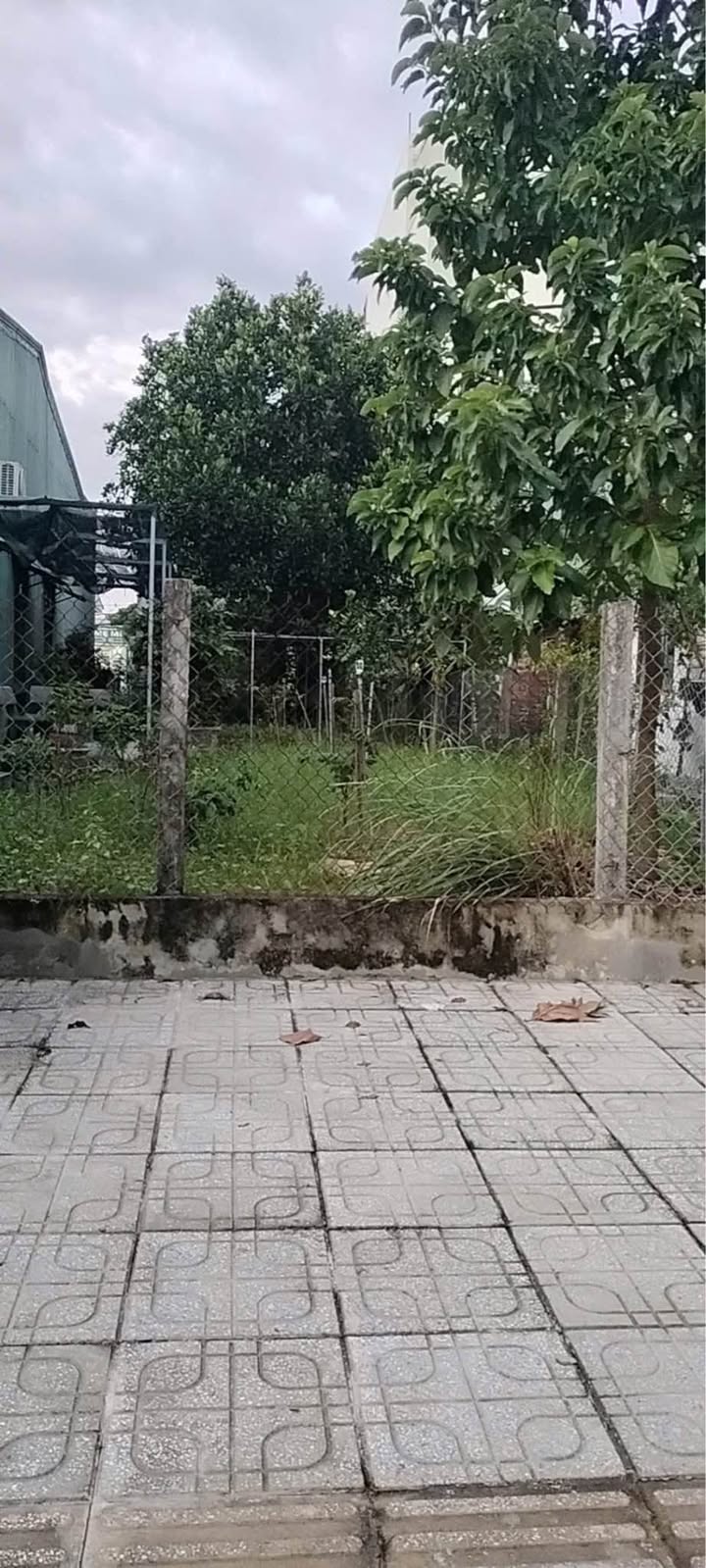 Lô đất KDC Hòa Thuận Tam Kỳ 126m² giá 1.8 tỷ - Gần đường nhựa rộng 11.5m!