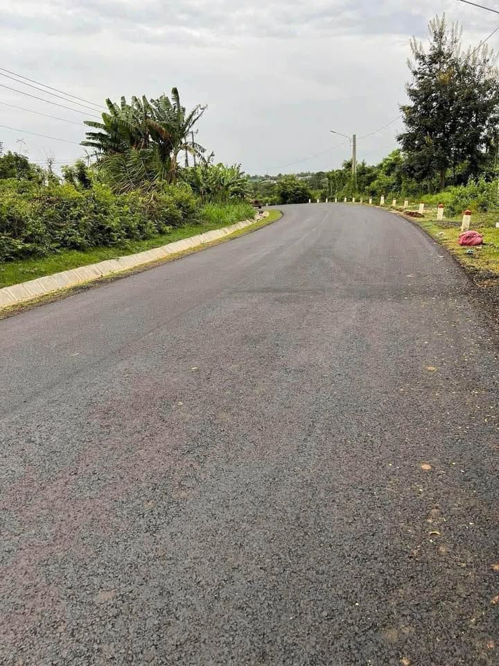 Lô đất mặt tiền tỉnh lộ 5, xã Cư Êbur, 800m² - Cơ hội đầu tư tuyệt vời!