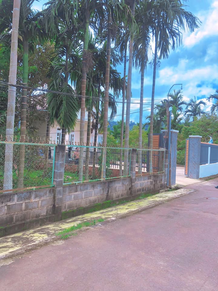 Đất nền Ea Ktur, Cư Kuin 246m² giá 7.87 tỷ - Đầu tư sinh lời không thể bỏ lỡ!