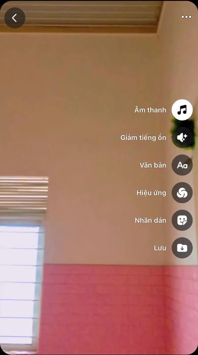 Nhà riêng Thôn 1a, xã Ea Ktur, Đắk Lắk - Diện tích 480m² chỉ 1.78 tỷ - Chính chủ bán gấp!