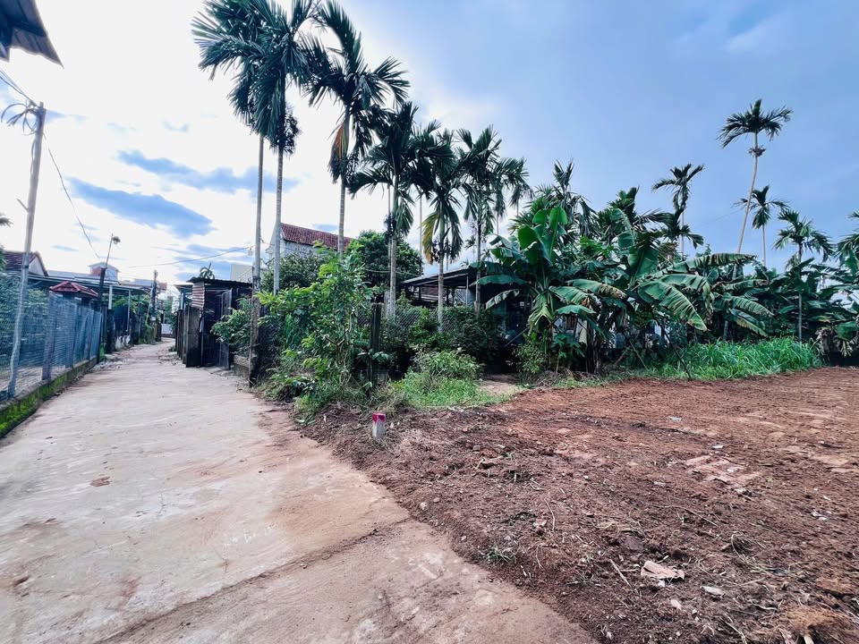 Đất nền Tịnh Hà 125m² giá thỏa thuận - Đường ô tô bêtông, hướng Nam!