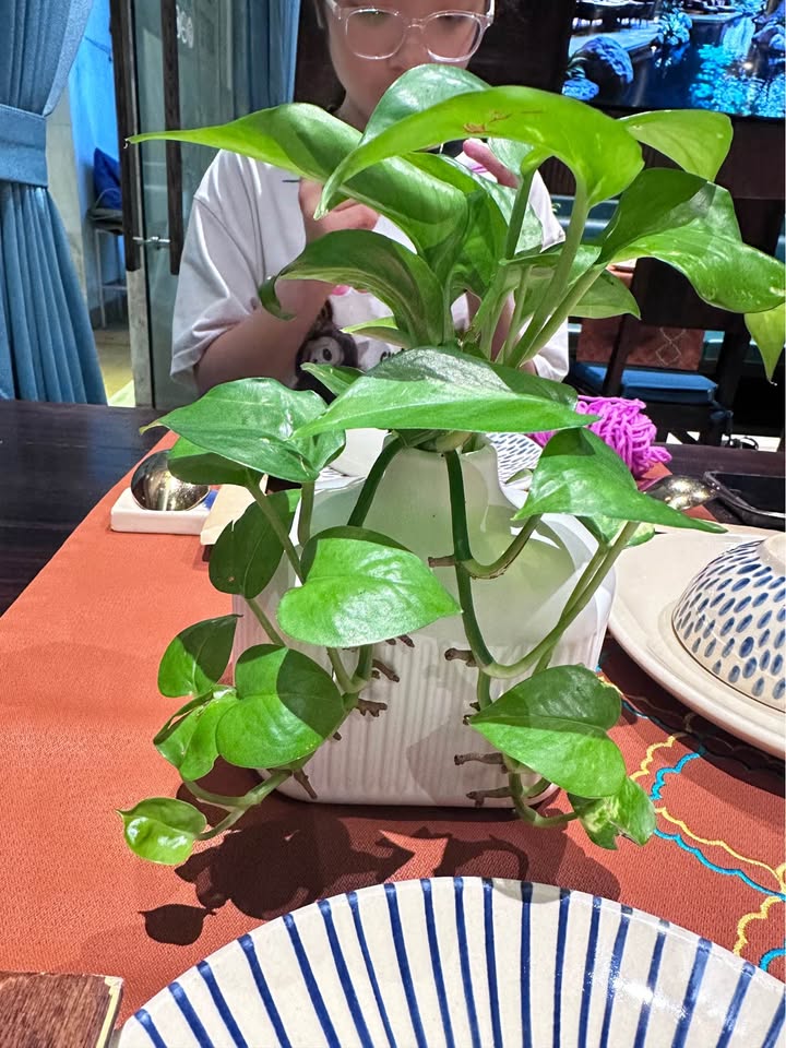 Nhà 365m² tại Cuôr Đăng, Cư M'gar, 7.5 tỷ - Sẵn sàng vào ở ngay!