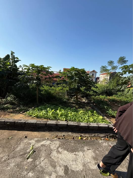 Đất nền Châu Cầu, Châu Phong 88m² giá 1 tỷ - Tiềm năng đầu tư lớn!