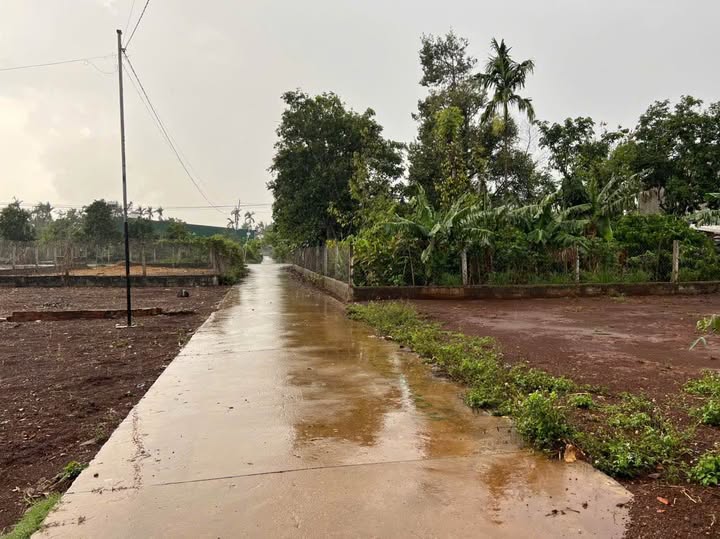 Đất nền Ea Tu Buôn Ma Thuột 200m² giá chỉ 1.39 tỷ - Cơ hội đầu tư tuyệt vời!