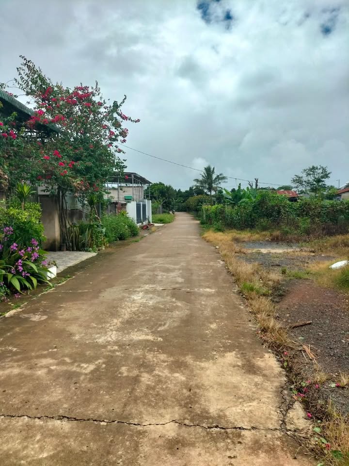 Đất nền Đinh Văn Lâm Hà 132.5m² giá chỉ 600 triệu - Sổ đỏ chính chủ, chốt nhanh trong tuần!