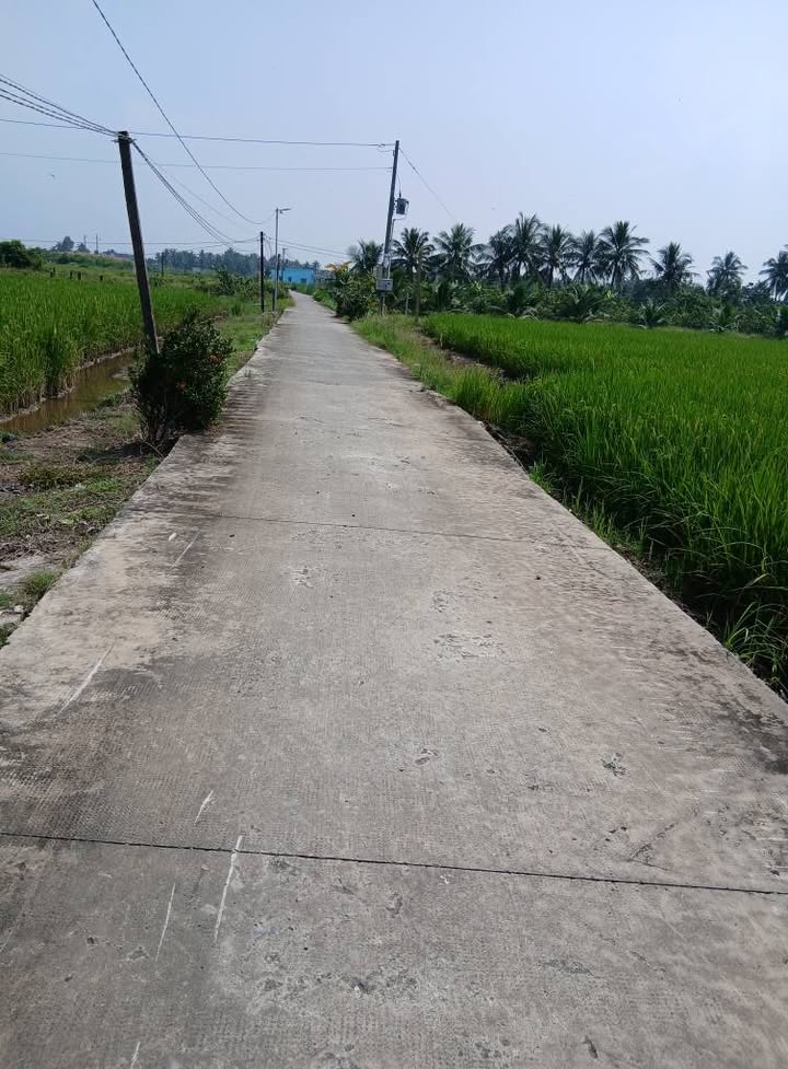 Đất lúa 90.000m² tại Phước Tân Hưng, Châu Thành, Long An - Giá chỉ 5 tỷ, sổ hồng chính chủ!