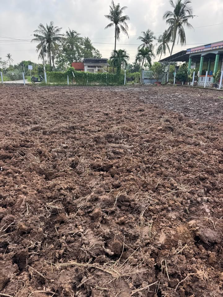 Đất nền nghỉ dưỡng Phú Thạnh, Tân Phú Đông 253m² giá 280 triệu - Mặt tiền đường ô tô thuận lợi!