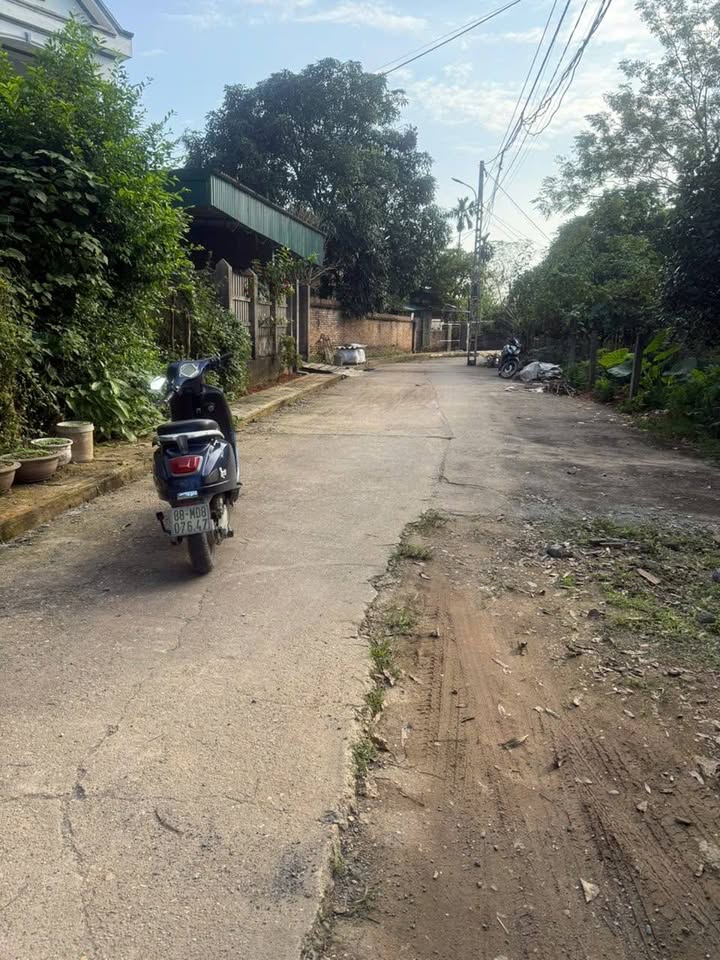 Đất nền chính chủ tại Phường Việt Trì, 148m² - Tiềm năng phát triển lớn!