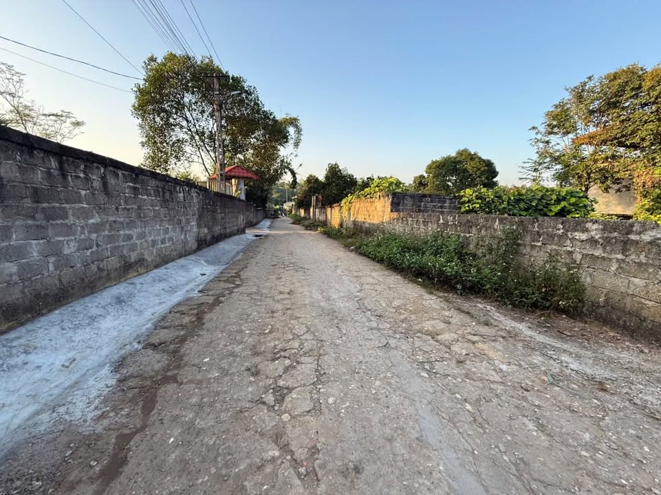 Đất nền Phú Hộ 300m² - Giá chỉ vài trăm triệu, vị trí giao thương thuận lợi!