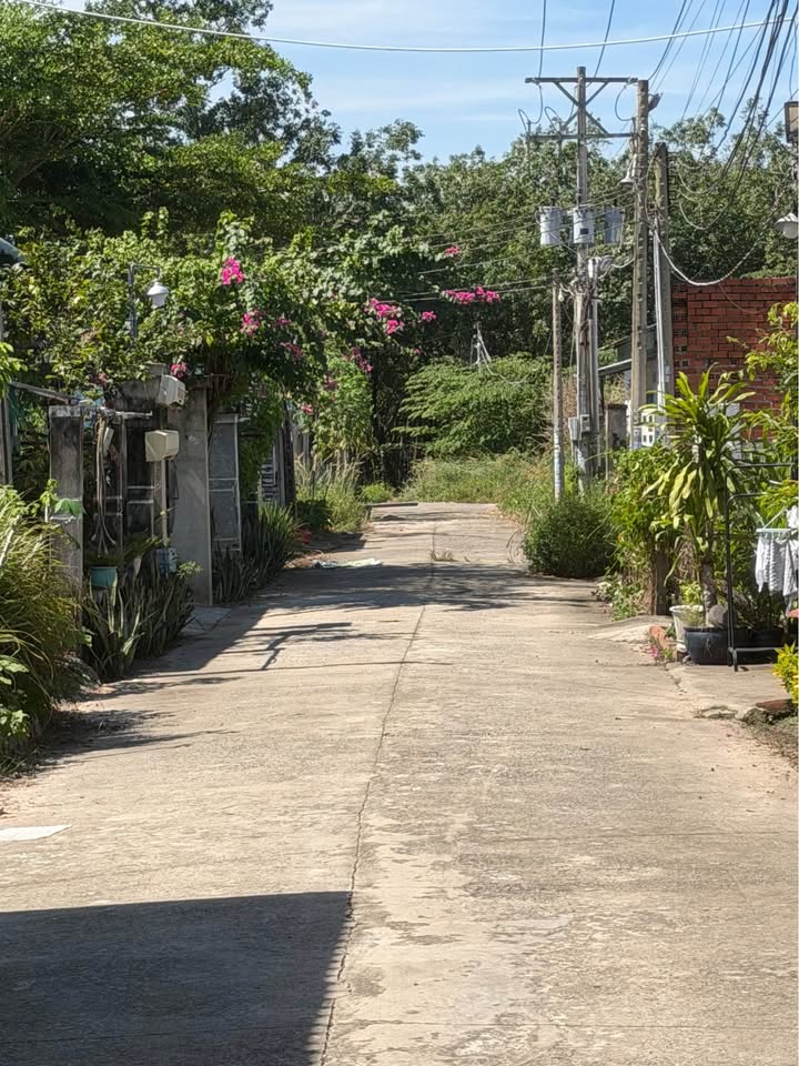 Đất nền phố Trần Văn Trà, Bình Minh, Tây Ninh 740m² - Giá tốt, vị trí đắc địa!