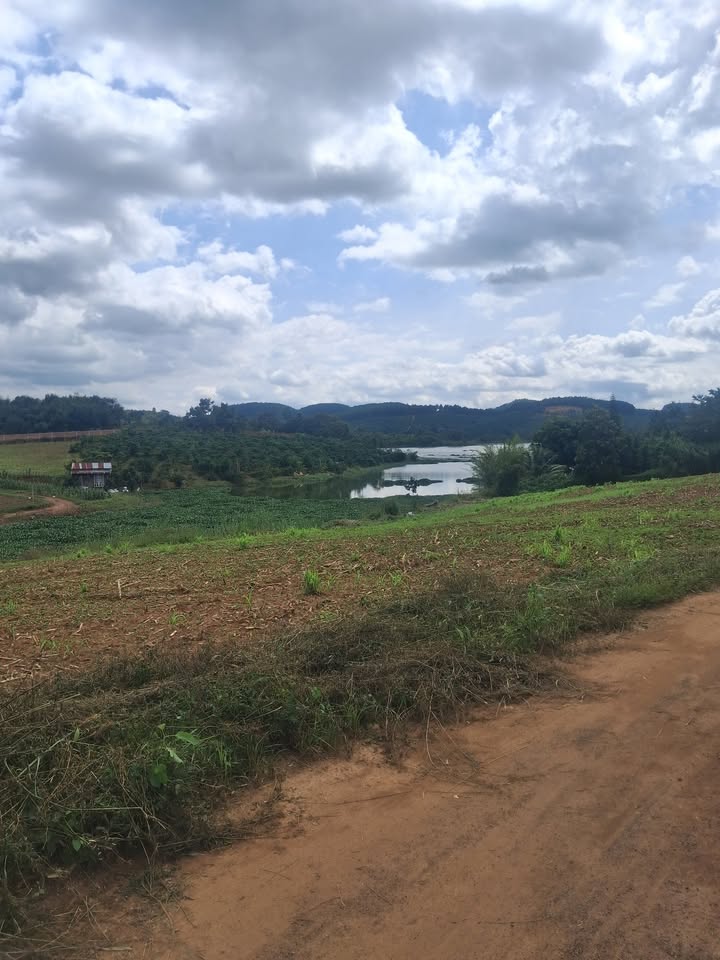 Đất nền Phú Hội Đức Trọng 135m² giá 720 triệu - View hồ thoáng mát lý tưởng!