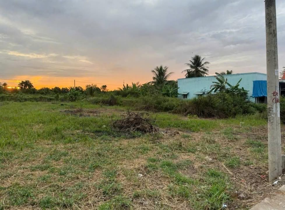 Đất nền Cần Giuộc Long An 123m² giá 726 triệu - Sổ đỏ chính chủ, đầu tư sinh lời!