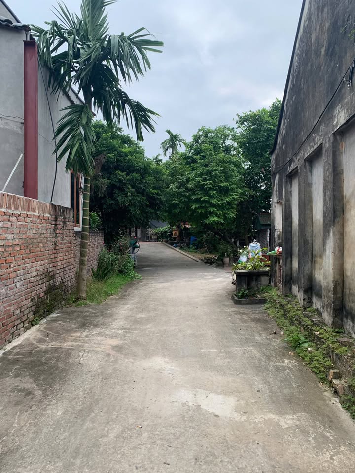 Đất nền 220m² Thị Trấn Thanh Thủy giá chỉ 3 tỷ - Sổ hồng chính chủ!