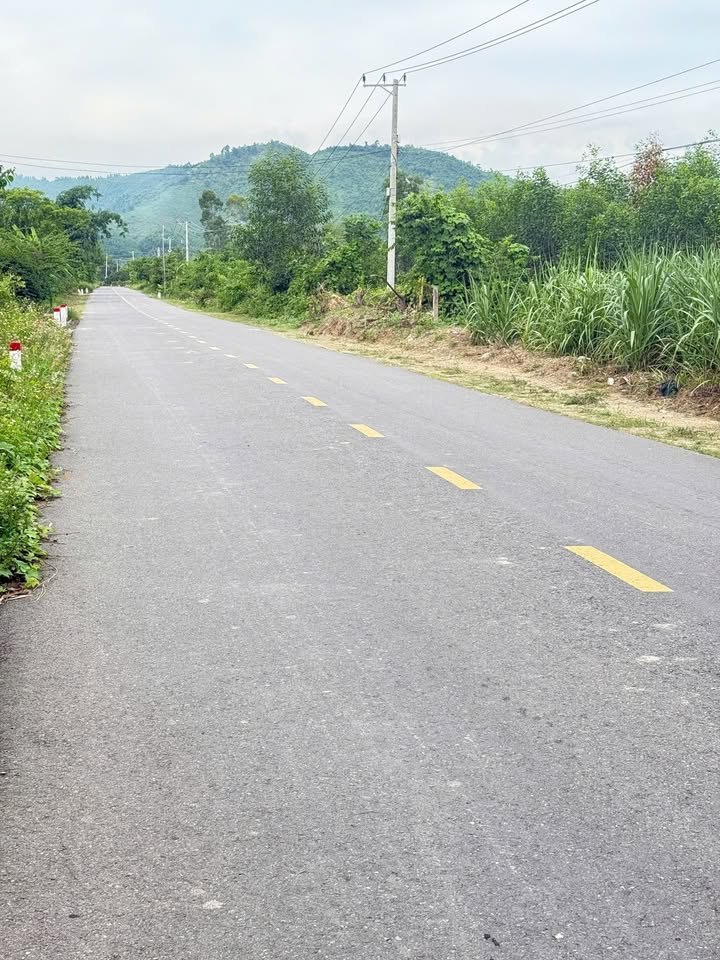 Đất nền Khánh Nam 400m² giá đầu tư 550 triệu - Mặt tiền đường bê tông 12m!