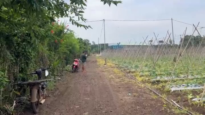 Đất nền Xuân Bắc 1764m² giá 800 triệu - Lô đất đẹp, vị trí thuận lợi!