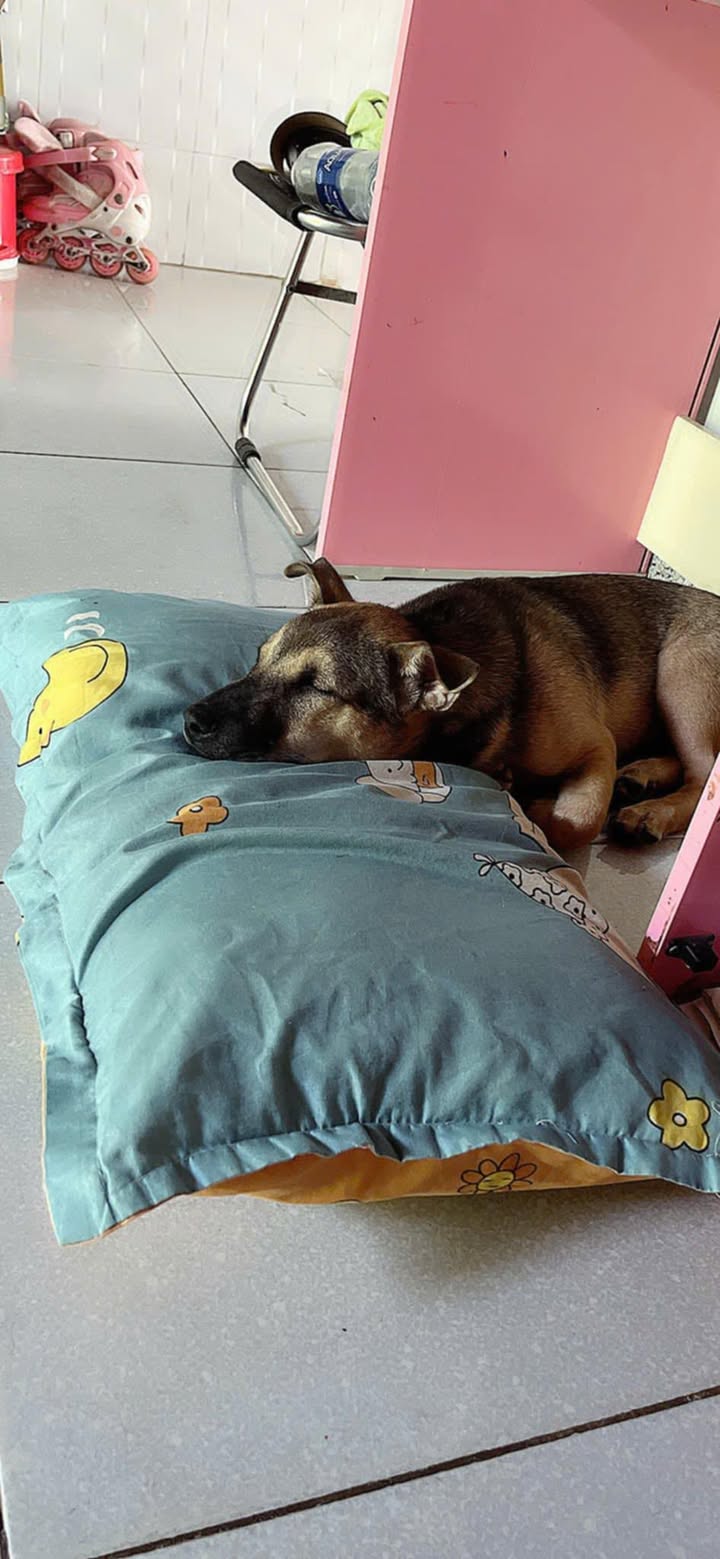 Đất nền Suối Cao 7000m² giá chỉ 2 tỷ - Cơ hội đầu tư tuyệt vời!