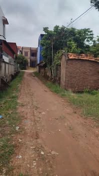 Đất thổ cư Lục Nam, Bắc Giang 135m² - Cơ hội đầu tư tuyệt vời!