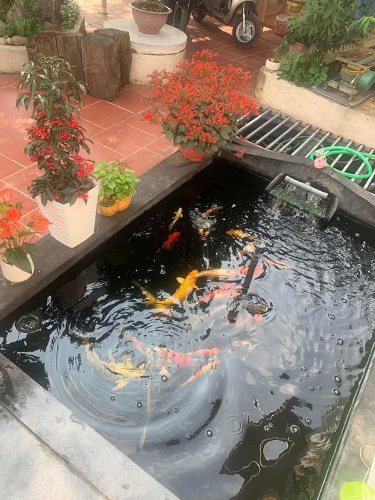 Đất nền Ngọc Hà, Hà Giang 331m² - Đầu tư lý tưởng với giá thỏa thuận!